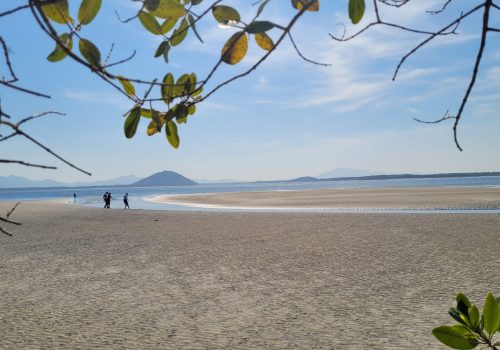 vista ilha do Cardoso Pereirinha